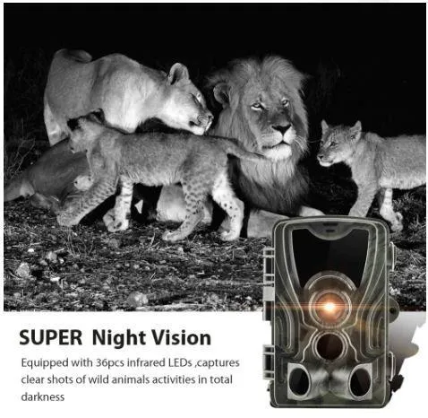 16MP 1080P IP65 Wildlife Surveillance Camera